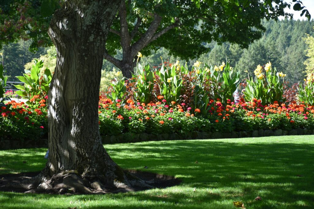 Beautiful gardens at Parker Palm Springs