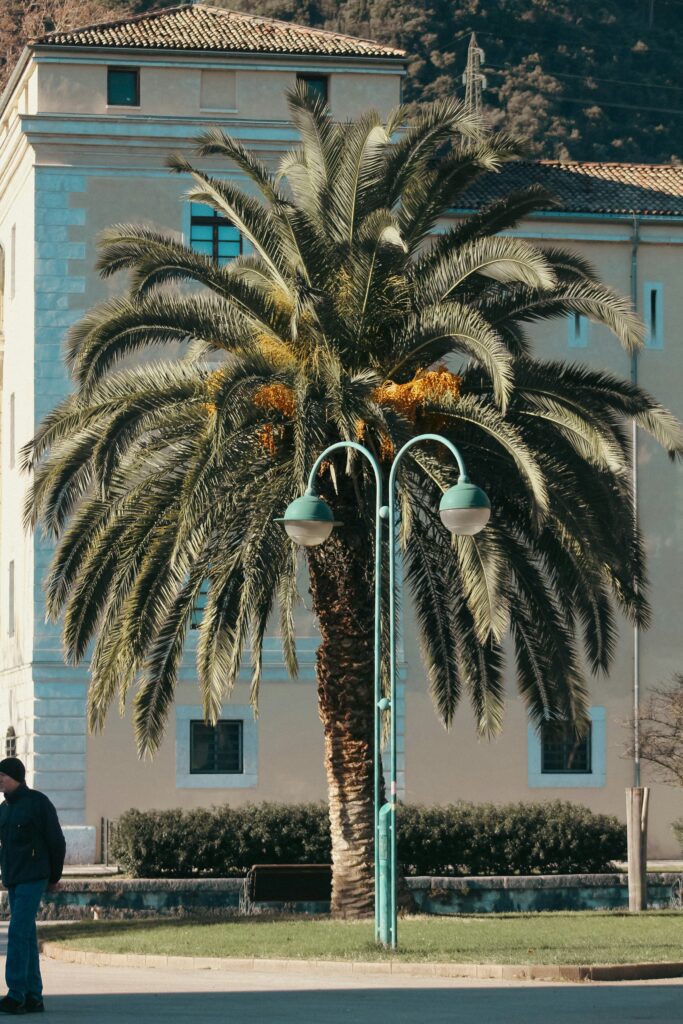 Beautiful Mediterranean-style exterior of Korakia Pensione