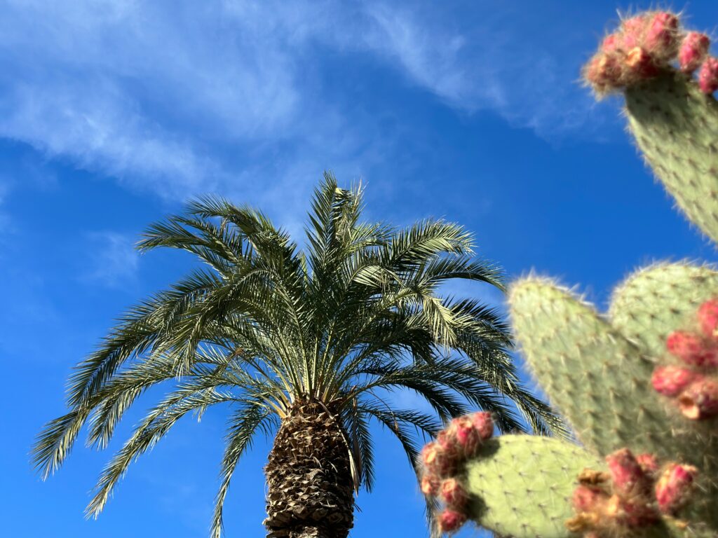 Colorful exterior of The Saguaro Palm Springs